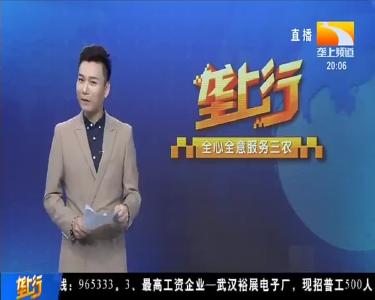 方式方法灵活多样 乡村健身动起来