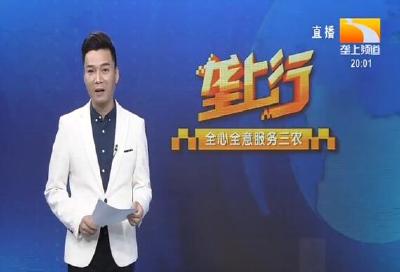 垄上行 2020-08-15