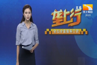 垄上行 2020-08-12