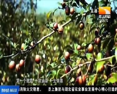 垄中对 2020-08-01