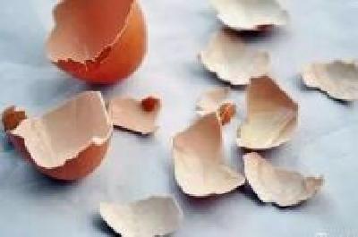 废弃蛋壳也是宝 华农一项技术卖出2000万元