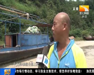 十堰丹江口：禁捕退捕 2482艘渔船上岸