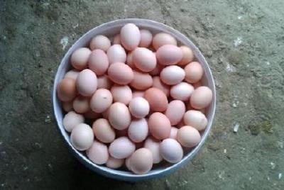 鸡蛋价格上涨30%！为啥养殖户仍不赚钱？
