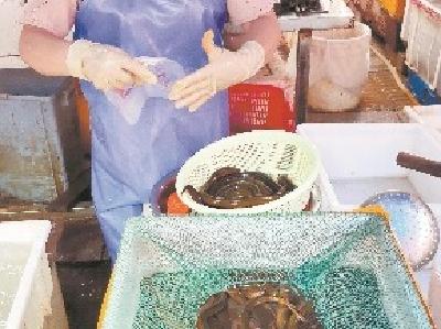 汉货“搅动”今夏鳝鱼市场行情 价格同比最高降四成