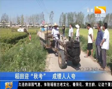 稻田迎“秋考” 成绩人人夸