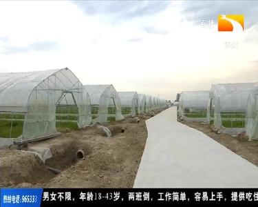 湖北道地药材产业发展迅速