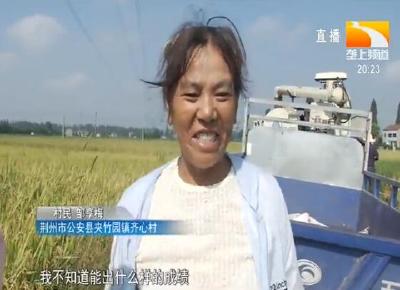 女能人水稻夺高产 乡亲纷纷点赞