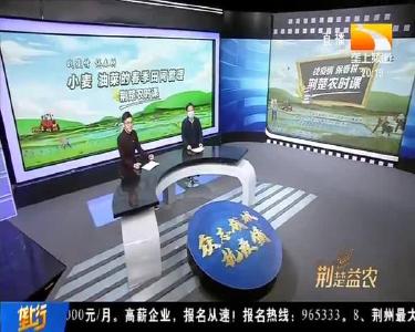 抗疫抗灾 逆风向上 湖北交出特殊之年的“丰收答卷”