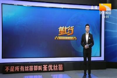 垄上行 2020-09-18