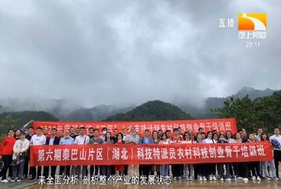 强化“三区”人才支撑 三农双创发展跑出新速度