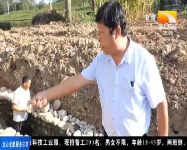 探寻湖北脱贫路径 全媒体专栏《荆楚扶贫印记》明日开播