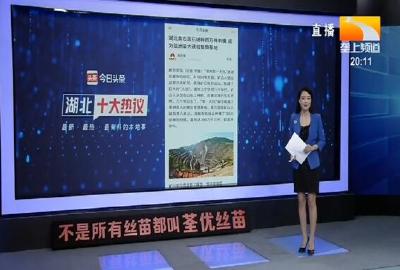 湖北十大热议