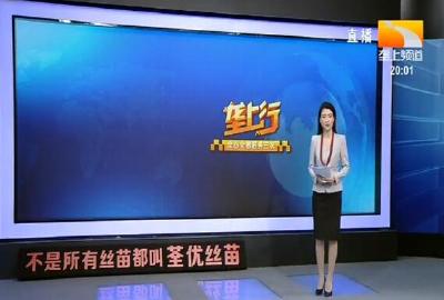 垄上行 2020-09-29