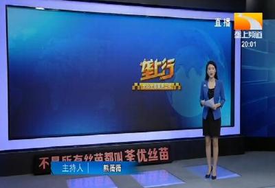 垄上行 2020-09-04