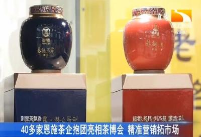 40多家恩施茶企抱团亮相茶博会 精准营销拓市场