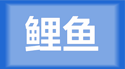 襄阳市襄州区陈师傅：现在鱼塘只死鲤鱼是怎么回事？每天死100多斤。