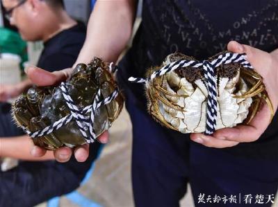 8元螃蟹还可送货到家 武汉开启性价比最高吃蟹季