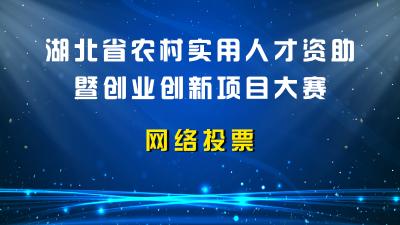 2019年湖北省农村实用人才资助暨创业创新项目大赛总决赛投票活动开始啦