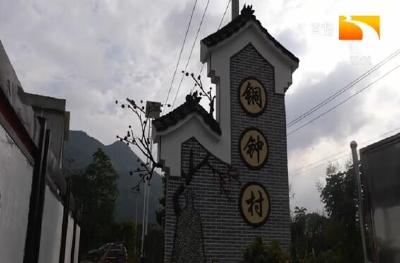 好吃！咸宁崇阳3万斤柿子大丰收邀您采摘