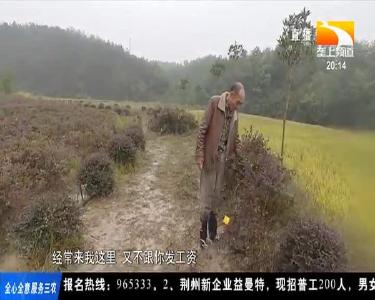 一辆皮卡车 走遍九里村 行遍万里路