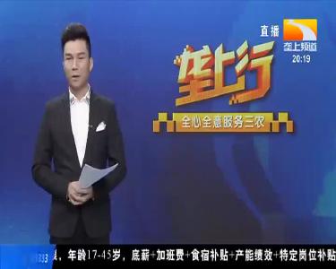 孝善麻城 菊香四海