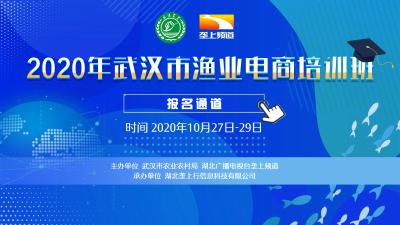 2020年武汉市渔业电商培训招生啦！全免费！