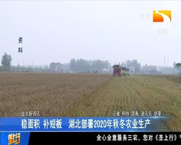 稳面积 补短板 湖北部署2020年秋冬农业生产