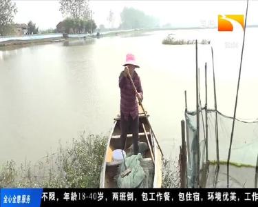 荆州洪湖：金秋时节起蟹忙