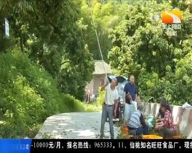 加大出口力度 打造百亿级荔枝产业