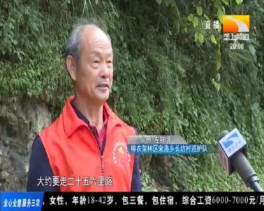 垄上行 2020-09-30