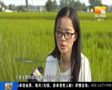 绿色防控亮新招 “带刀侍卫”是花草