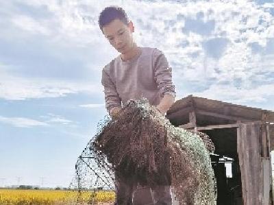 父亲意外身亡遗留百万债务 监利农家小伙替父还债