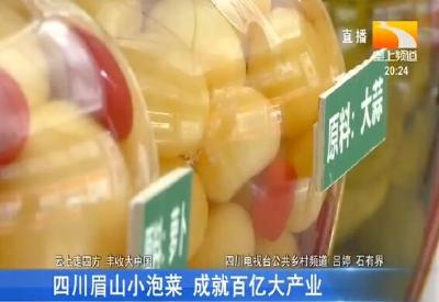 四川眉山小泡菜 成就百亿大产业