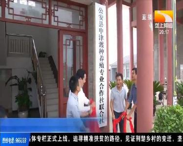 合作社抱团发展 助力农业产业升级