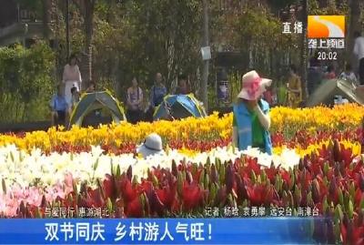 双节同庆 乡村游人气旺