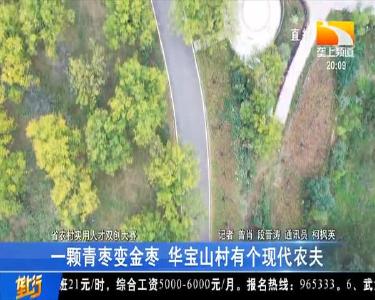 垄上行 2020-10-14