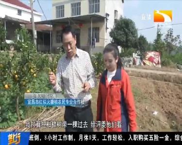 垄上行 2020-10-13