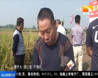 夺高产 种田老手分享种植心得