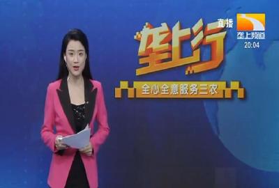 垄上行 2020-10-30