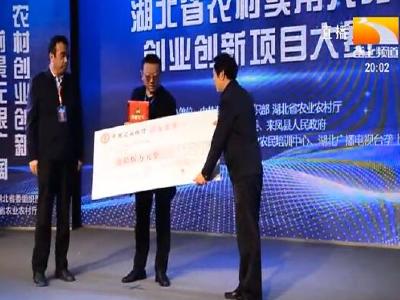 37名新农人同台竞技 大赛桂冠花落谁家