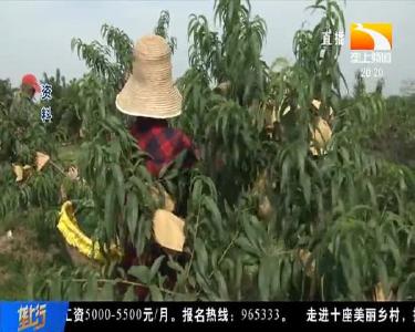 打造全国知名“湖北制造” 全省地理标志“大比拼”