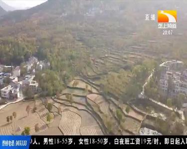 美丽乡村无缝对接旅行社 为甜柿产业发展注入新动能