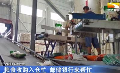 夏粮收购入仓忙 邮储银行来帮忙