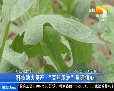 科技助力复产 “百年瓜洲”重建信心