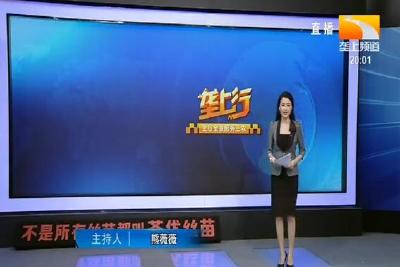 垄上行 2020-10-10