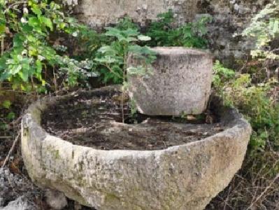 隐匿武汉蔡甸村庄里的百年老宅“樊家老屋”