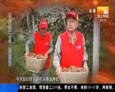 咱们村的第一书记 向祖国报告