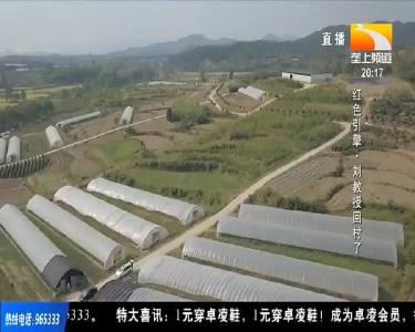 红色引擎 刘教授回村了