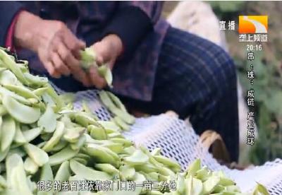 荆楚扶贫印记：串“珠”成链 产业成环