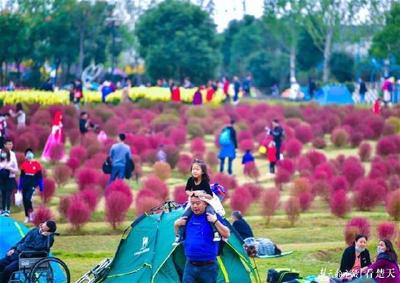 惠游湖北焕发生机 旅行社复工率超出全国10个百分点